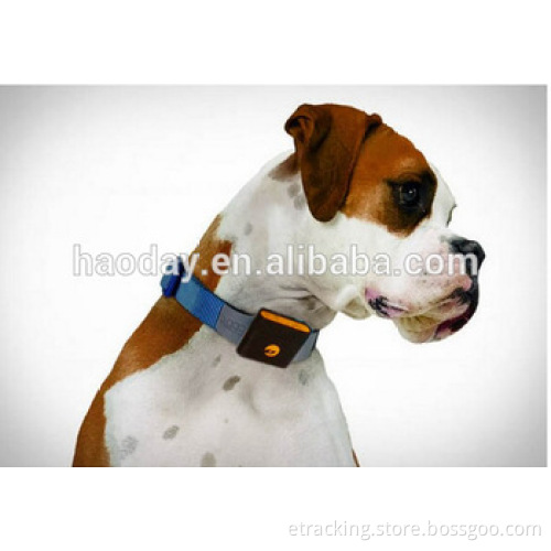 Anywhere GPS Tracker Waterproof Cats, Dogs Tk108 Safety GSM GPRS